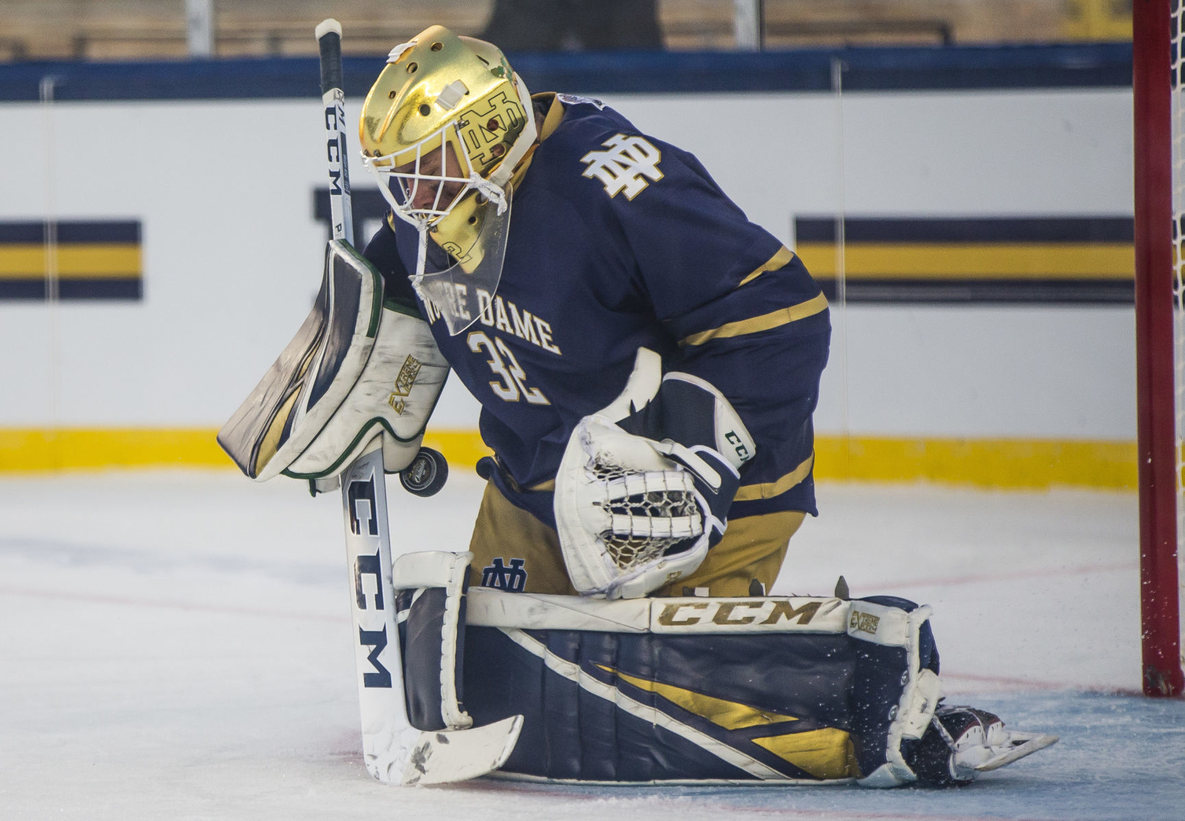 Cale Morris, Notre Dame